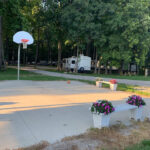 basketball court