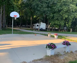 Basket Ball Court Basket Ball Court