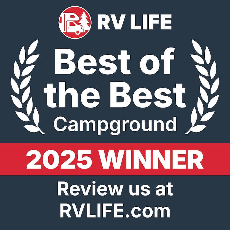 best-of-the-best-2025