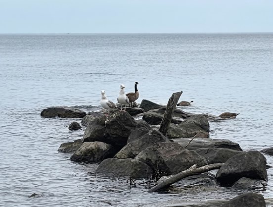 why-visit-goodtime-lake