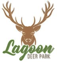 Lagoon Deer Park logo